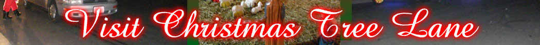 Visit Christmas Tree Lane
