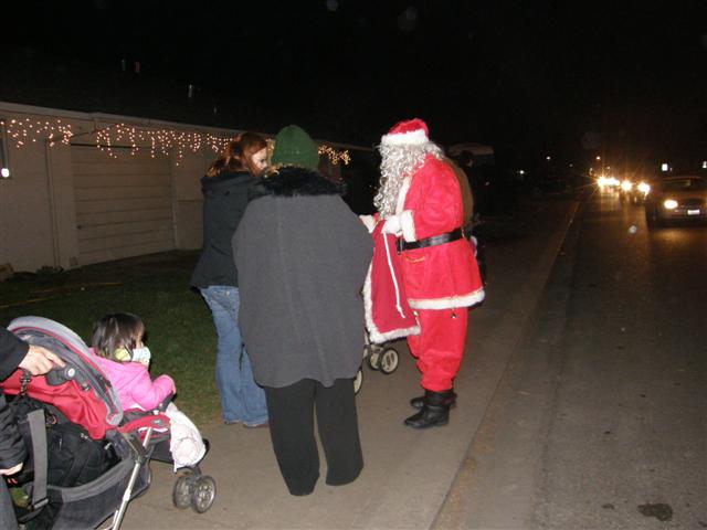 Christmas Tree Lane