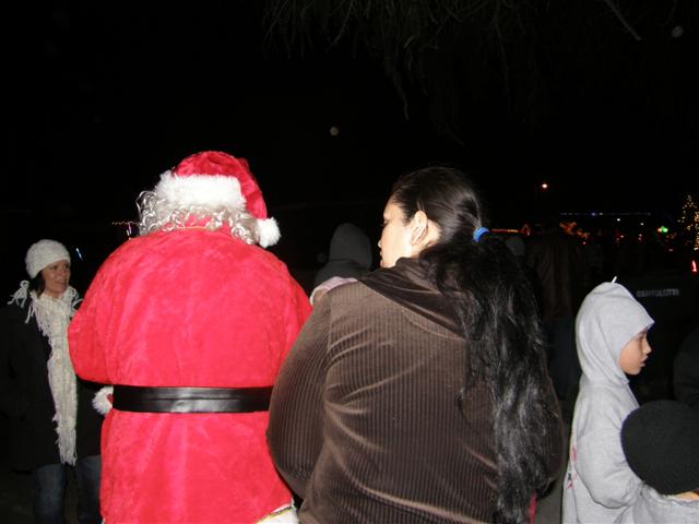 Christmas Tree Lane