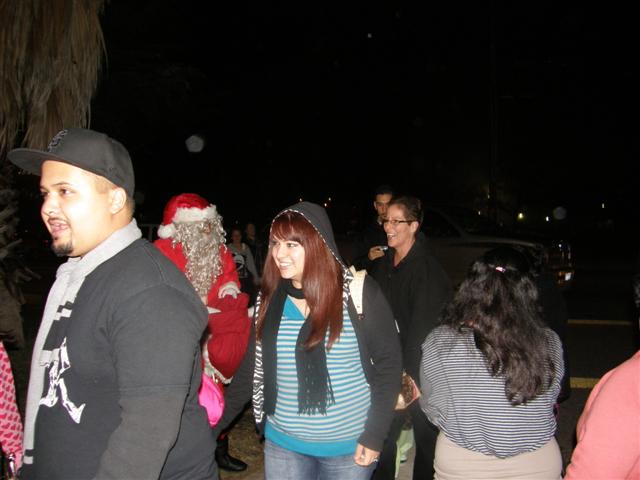 Christmas Tree Lane