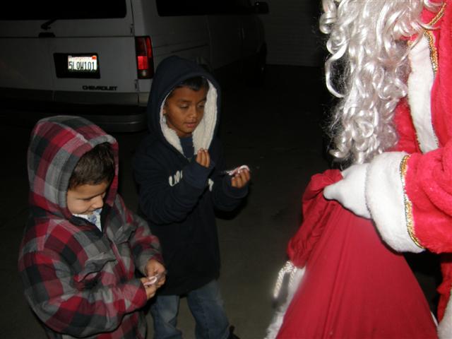 Christmas Tree Lane