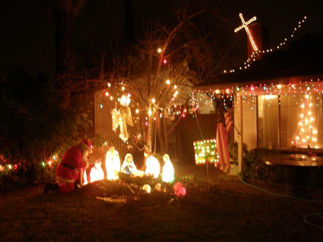 Christmas Tree Lane