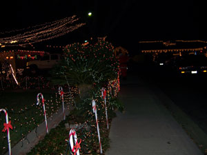 Santa at Christmas Tree Lane